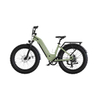 26inch Fat Tire Step-thru Electric Bike City Commuting LBF-TK01