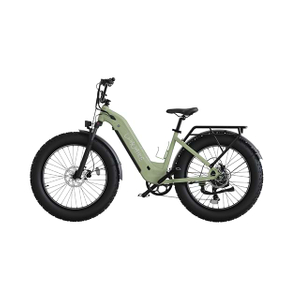 26inch Fat Tire Step-thru Electric Bike City Commuting LBF-TK01