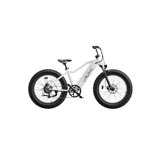 26inch Fat Tire Electric Mountain Bike City Commuting LB-DS01