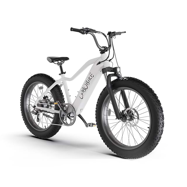 26inch Fat Tire Electric Mountain Bike City Commuting LB-DS01