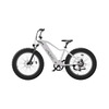 26inch Fat Tire Electric Mountain Bike City Commuting LB-DS01