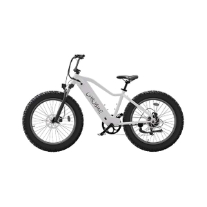 26inch Fat Tire Electric Mountain Bike City Commuting LB-DS01