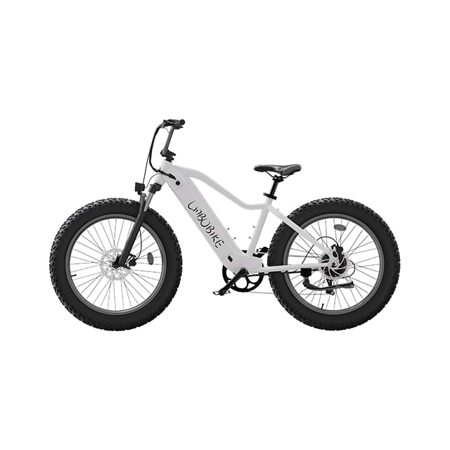 26inch Fat Tire Electric Mountain Bike City Commuting LB-DS01