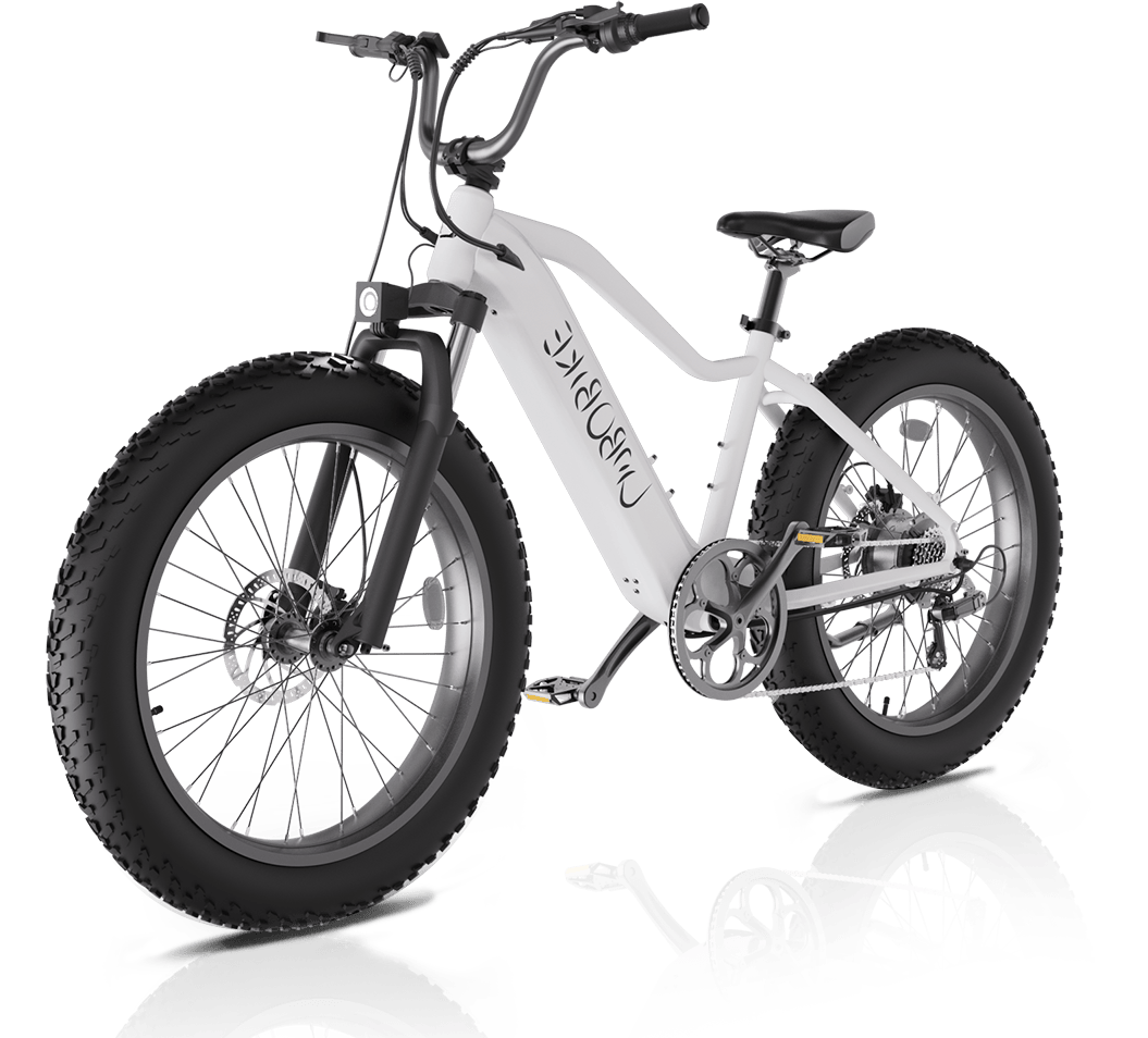 Promotional image explaining \'Why Choose Linbo Bikes?\' highlighting the unique benefits and features of Linbo Transportation Tech\'s electric bikes.